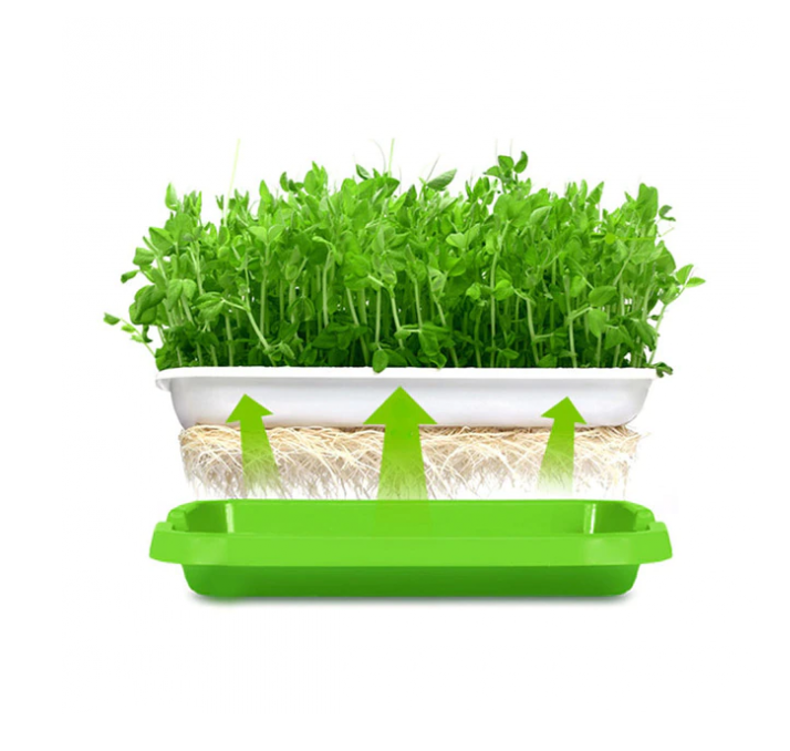 Лоток для гидропонного выращивания микрозелени с крышкой, 1 шт