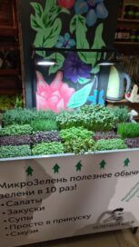 Установка для магазинов Hydromagazin 1.0 (для продажи микрозелени)