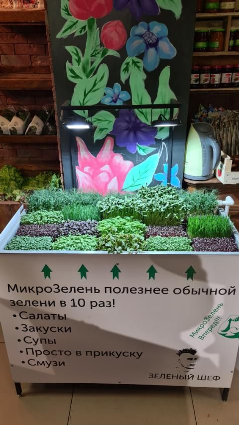 Установка для магазинів Hydromagazin 1.0 (для продажу мікрозелені)
