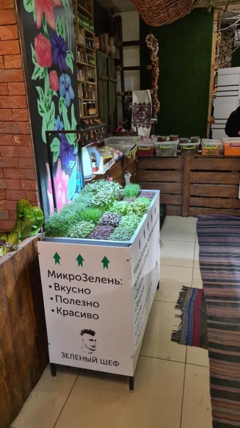 Установка для магазинов Hydromagazin 1.0 (для продажи микрозелени)