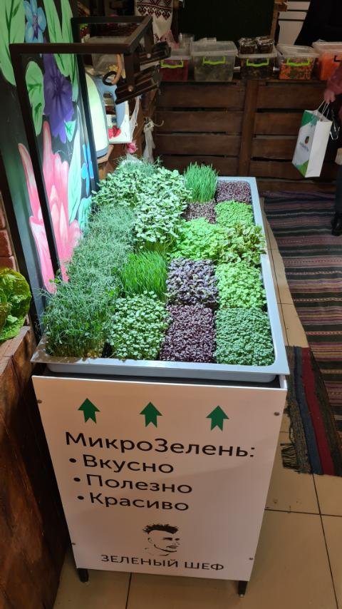Установка для магазинов Hydromagazin 1.0 (для продажи микрозелени)