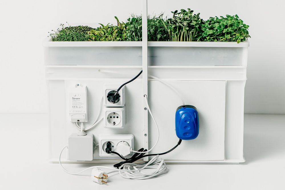 Гідропонна установка "Home miniBoss1.0"