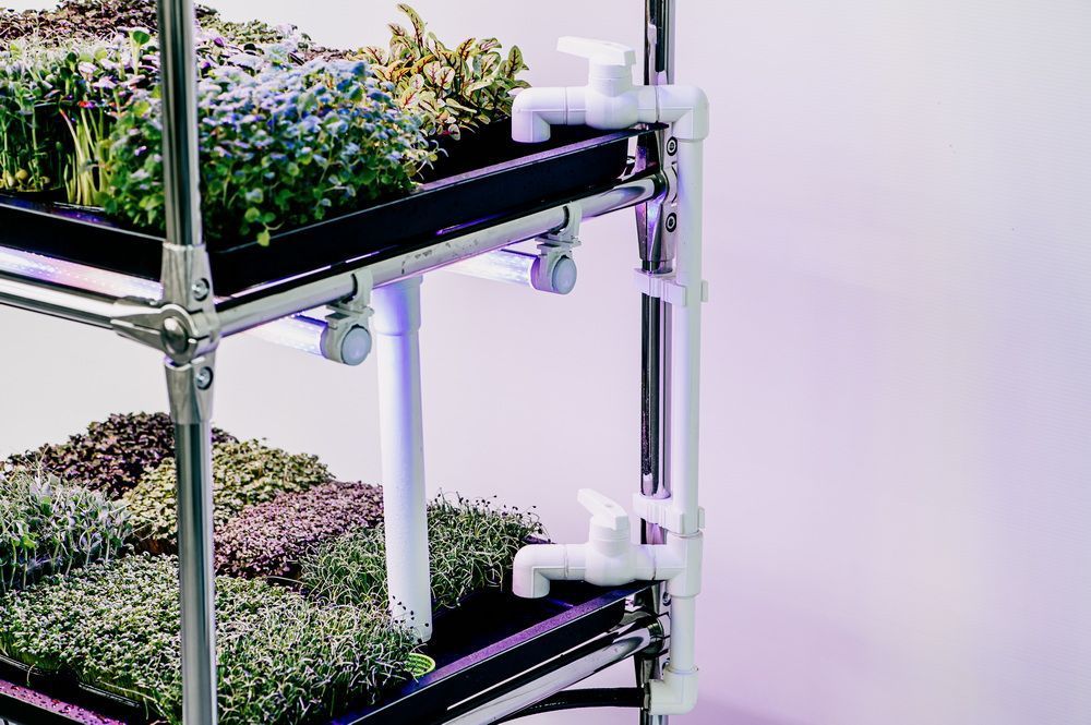 Гідропонна установка "Green Cheef Home 2.0 PLUS"