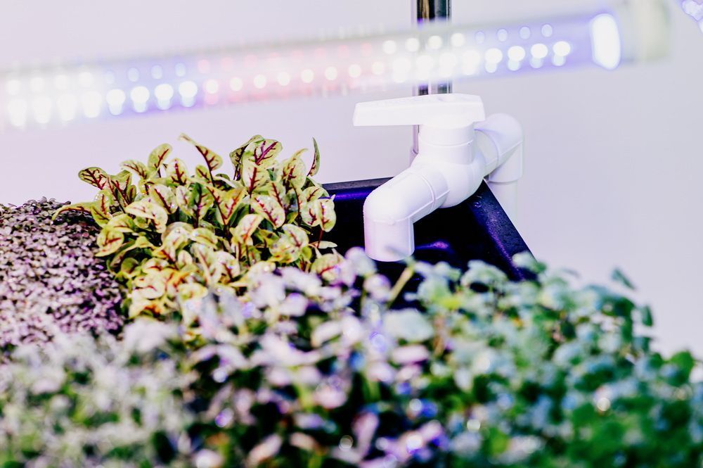 Гідропонна установка "Green Cheef Home 2.0 PLUS"
