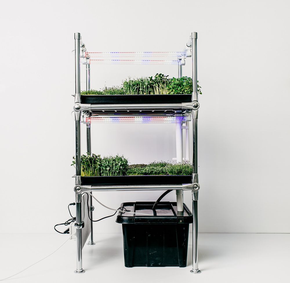 Гідропонна установка "Green Cheef Home 2.0 PLUS"