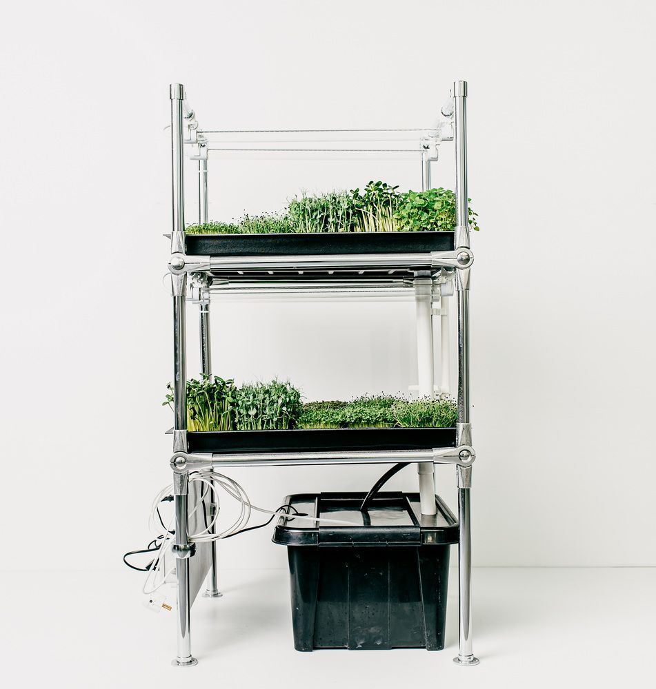 Гідропонна установка "Green Cheef Home 2.0 PLUS"