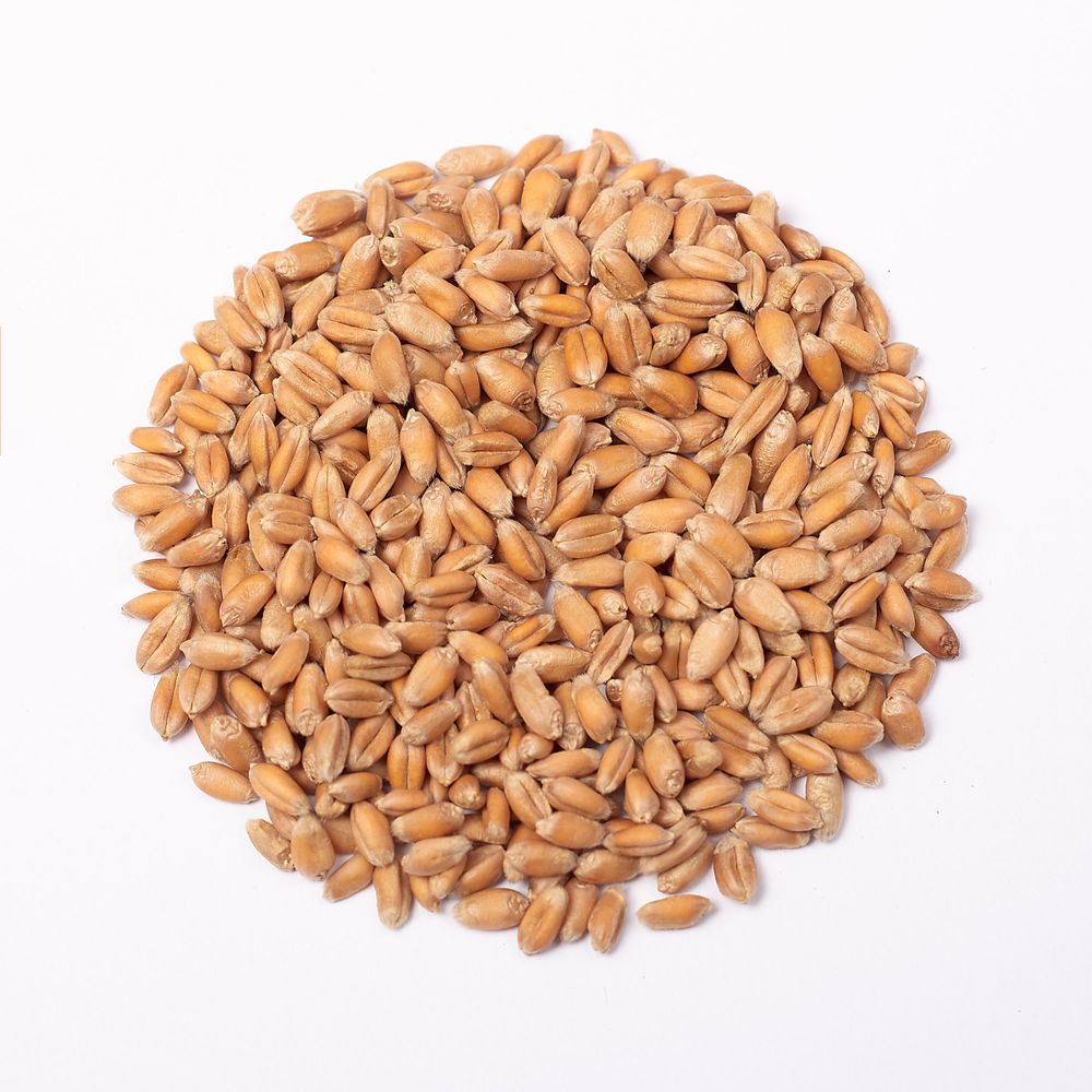 Пшеница Одесская, 100 г