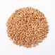 Пшениця Одеська, 1 кг
